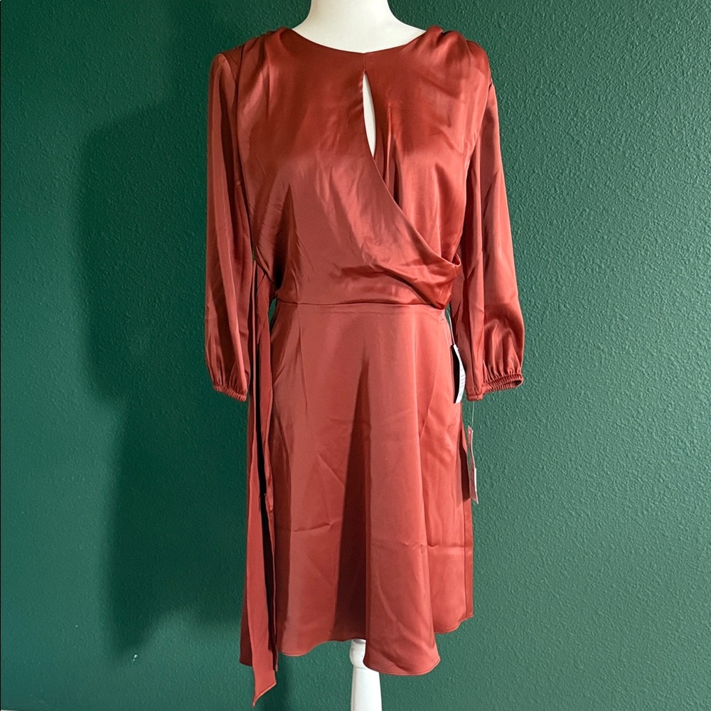 London Times Rust Long Sleeve Dress